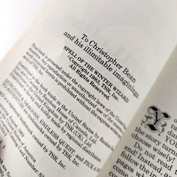 Vintage 80s Endless Quest Book - Spell of the Winter Wizard #11 - Picture 6 of 8